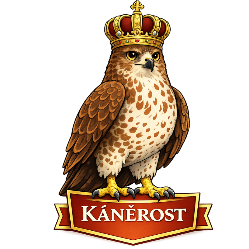 káněrost kolej kanické školy čár a kouzel