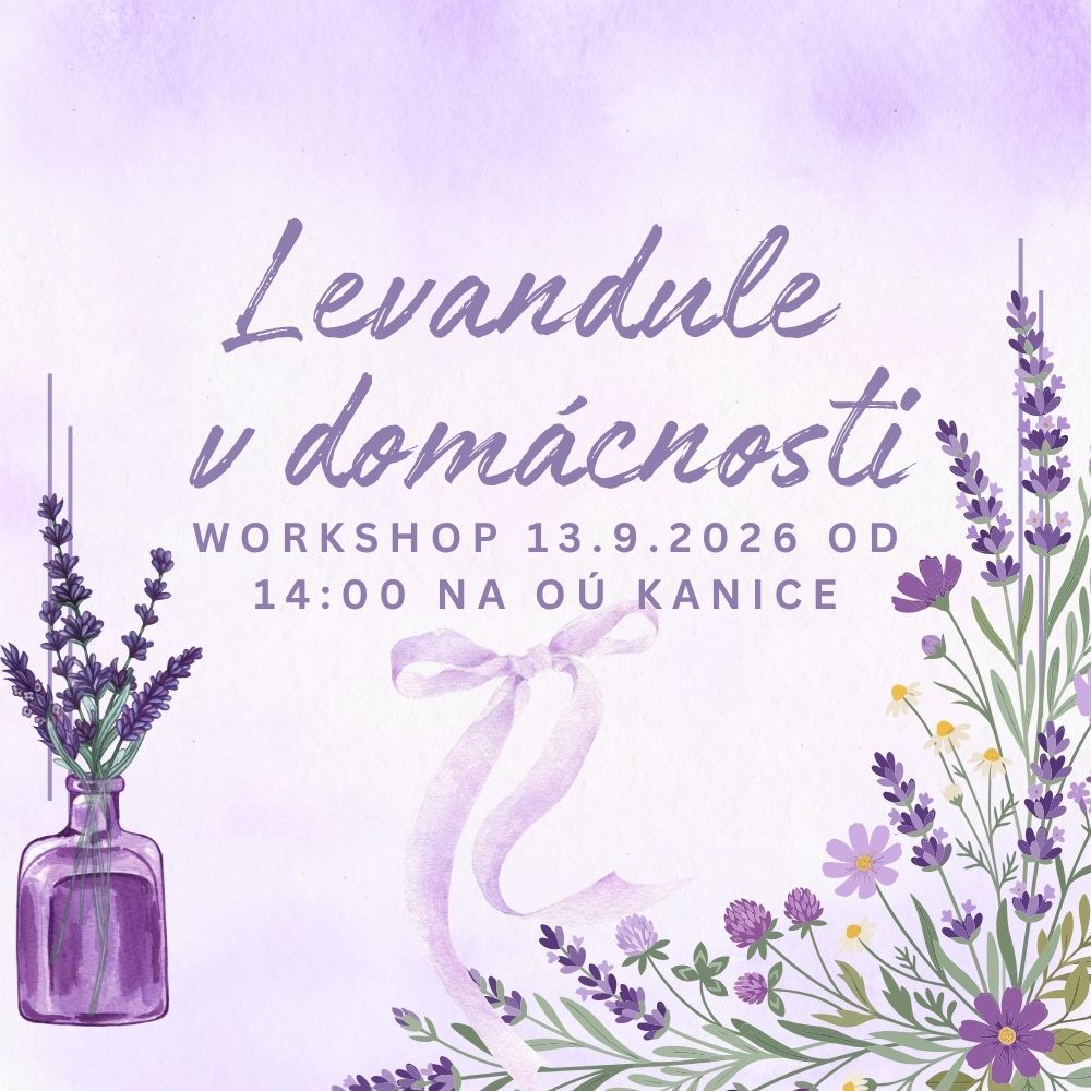 Workshop Levandule v domácnosti